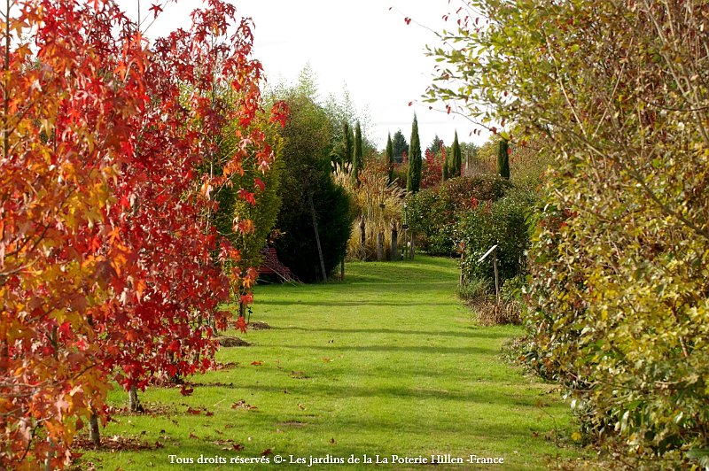chemin vers le jardin contemporain